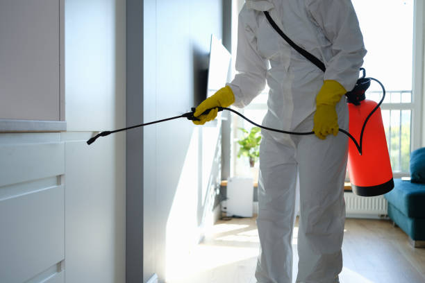 Best Mold Testing and Inspection Services in Montegut, LA